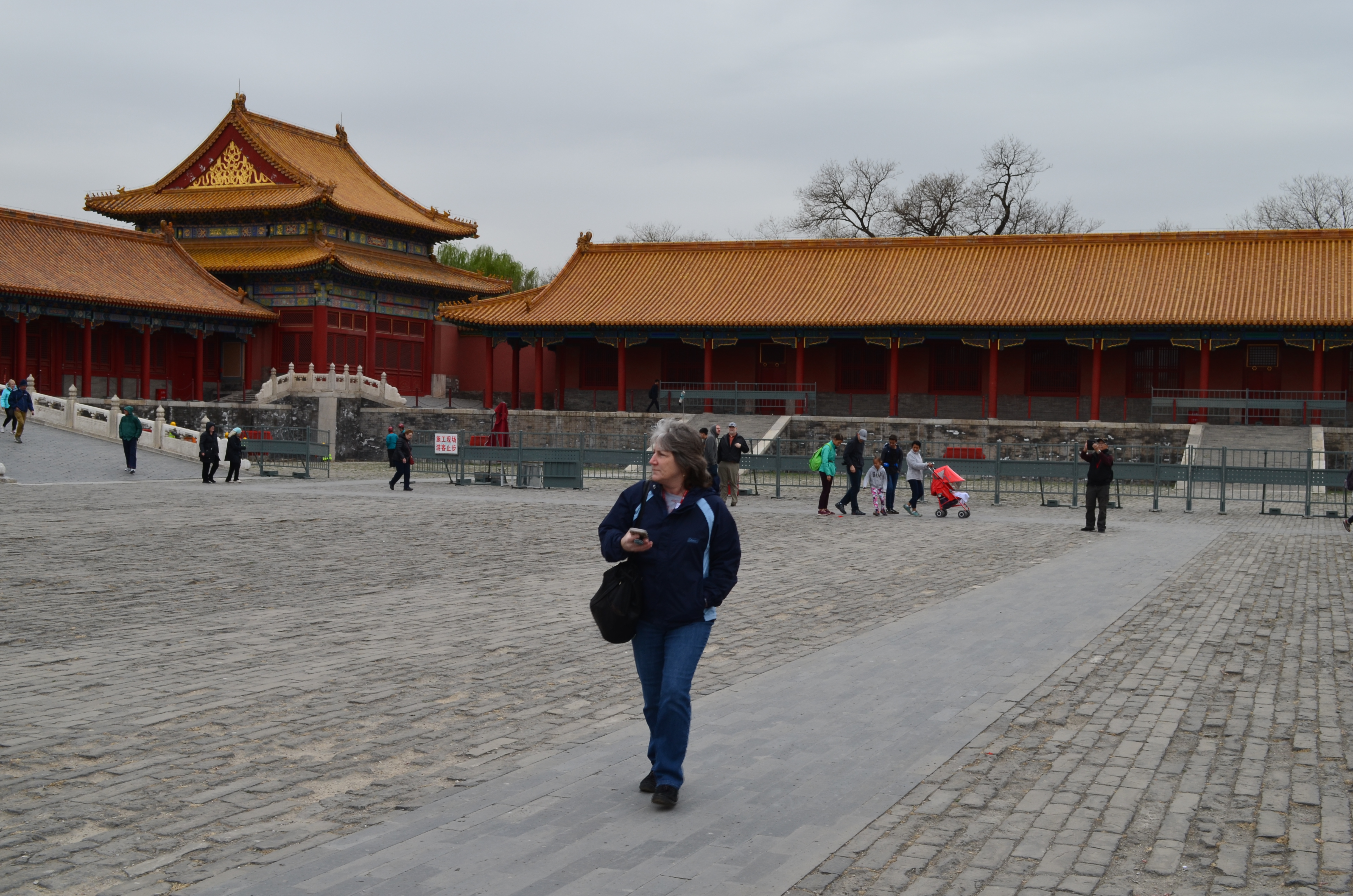 ./2018/03 - Viking China/06 - Forbidden City/DSC_0981.JPG